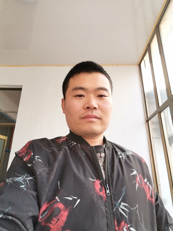 会飞的猪的第一张照片--安溪相亲网