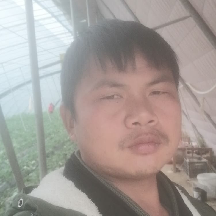 孤狼‘的第一张照片--安溪相亲网