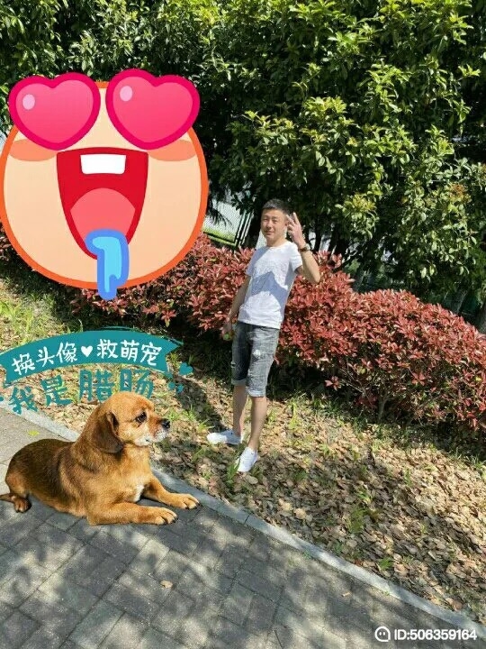 我若不坚强谁替我勇敢的第五张照片--安溪相亲网